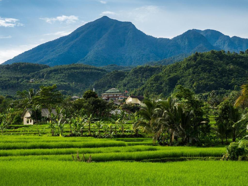 Braja Mustika Bogor